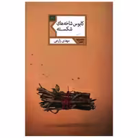کتاب کابوس شاخه های شکسته اثر مهدی زارعی