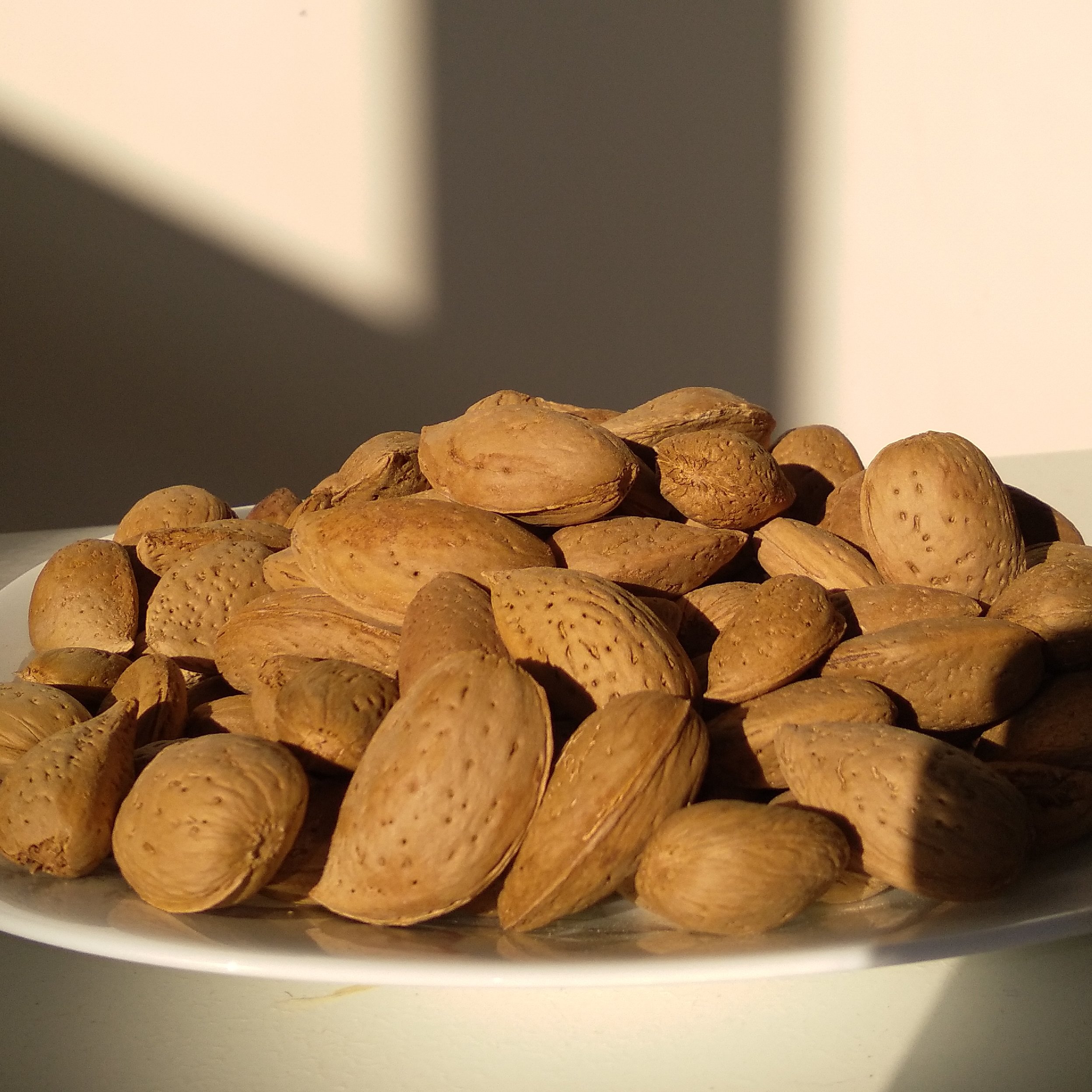 بادام سنگی
