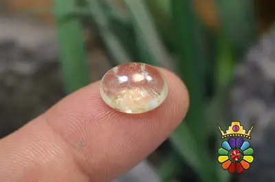 هلیدور (بریل طلایی)