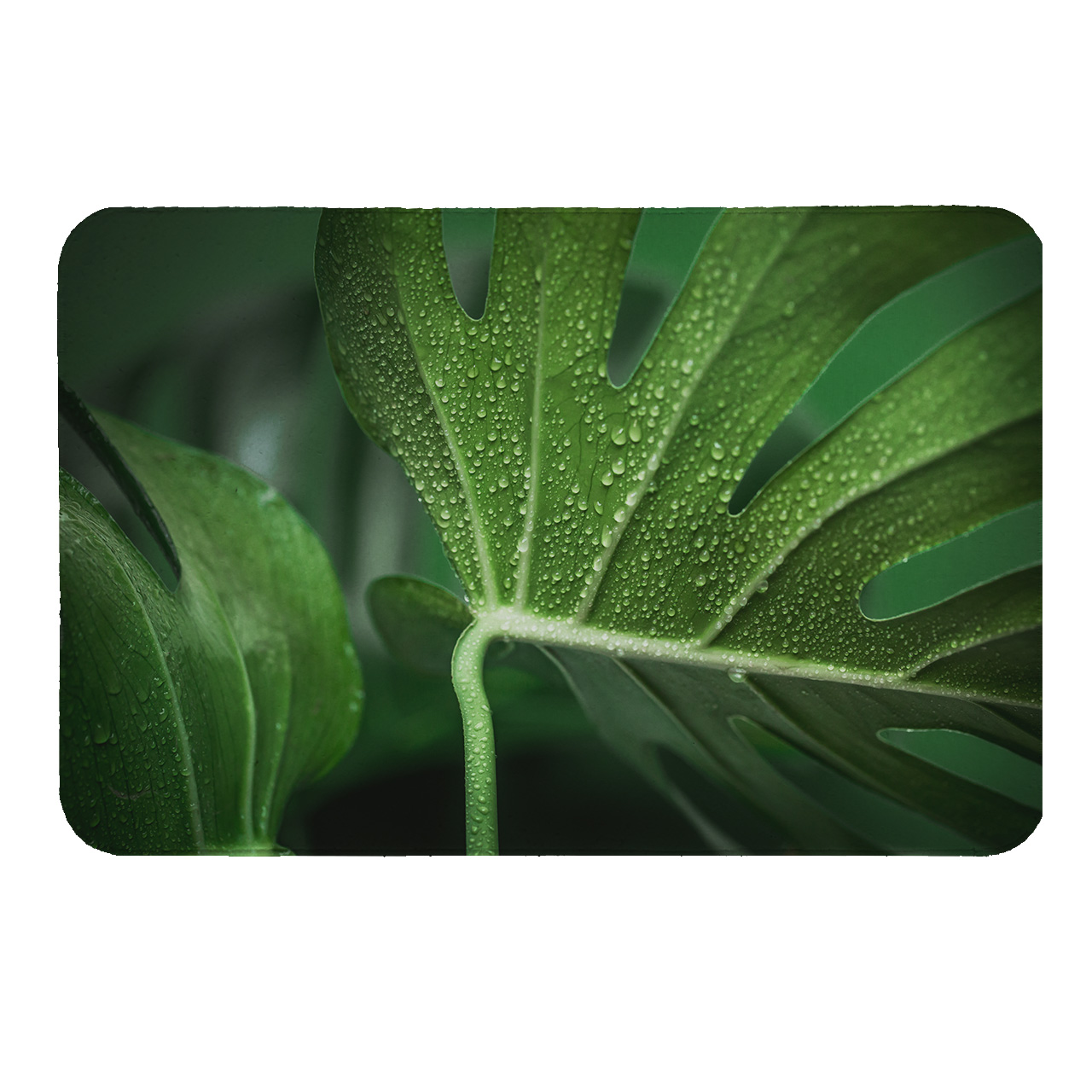 رطوبت گیر کنار سینک کد 8359