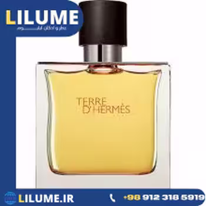 عطر ادکلن تق هرمس پرفیوم (تغ دی هغمس پارفوم) 75 میل مردانه