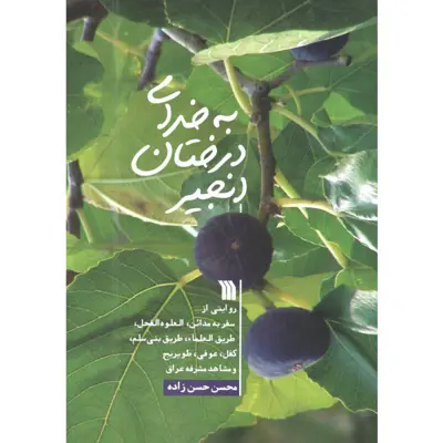کتاب به خدای درختان انجیر اثر محسن حسن زاده انتشارات سروش