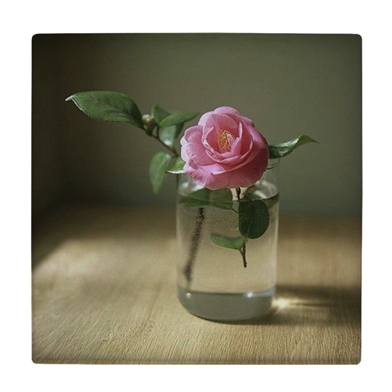  کاشی طرح گل در لیوان آب کد wk12033