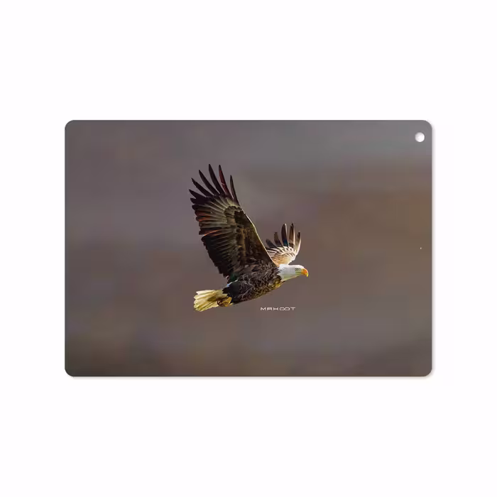 برچسب پوششی ماهوت مدل Eagle مناسب برای تبلت اپل iPad 9.7 (GEN 5) 2017 A1822
