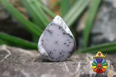 اپال دندریت