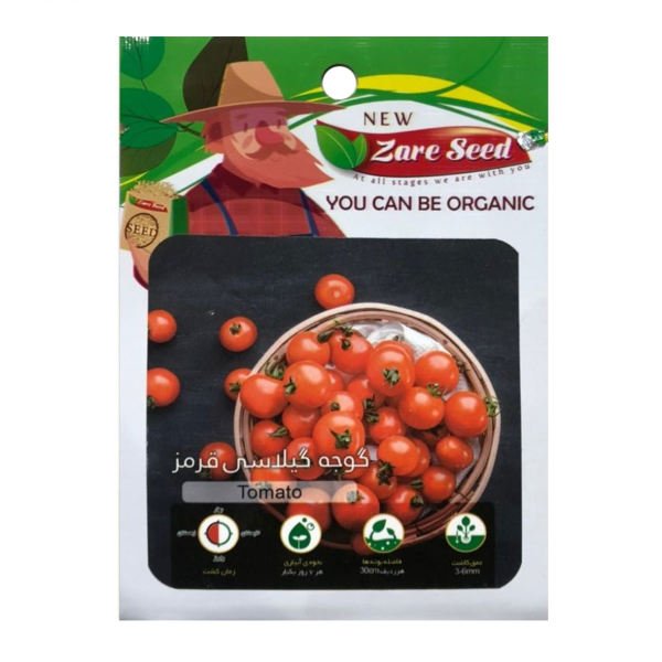 بذر گوجه گیلاسی قرمز + روش کاشت/ قیمت + خرید