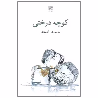 کتاب کوچه درختی اثر حمید امجد انتشارات نیلا