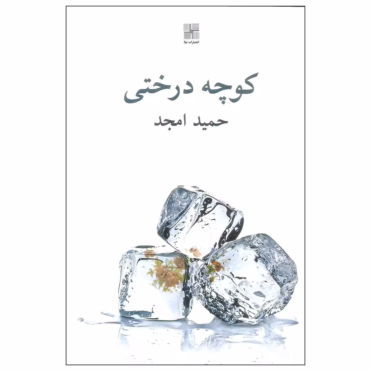 کتاب کوچه درختی اثر حمید امجد انتشارات نیلا
