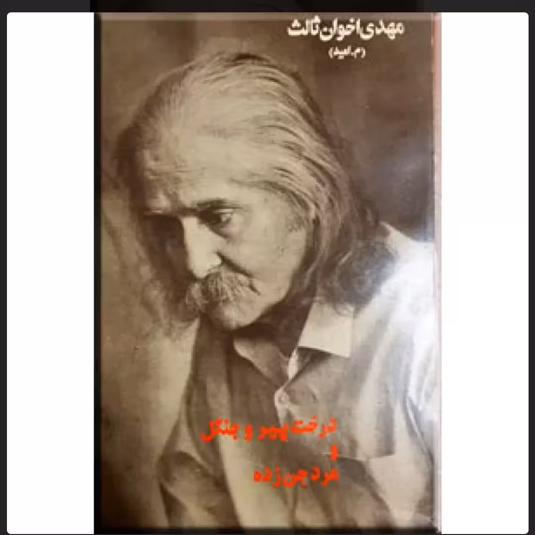 کتاب درخت پیر و جنگل و مرد جن زده  نویسنده: مهدی اخوان ثالث  ناشر: بزرگمهر