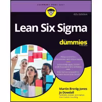 کتاب زبان اصلی Lean Six Sigma For Dummies 