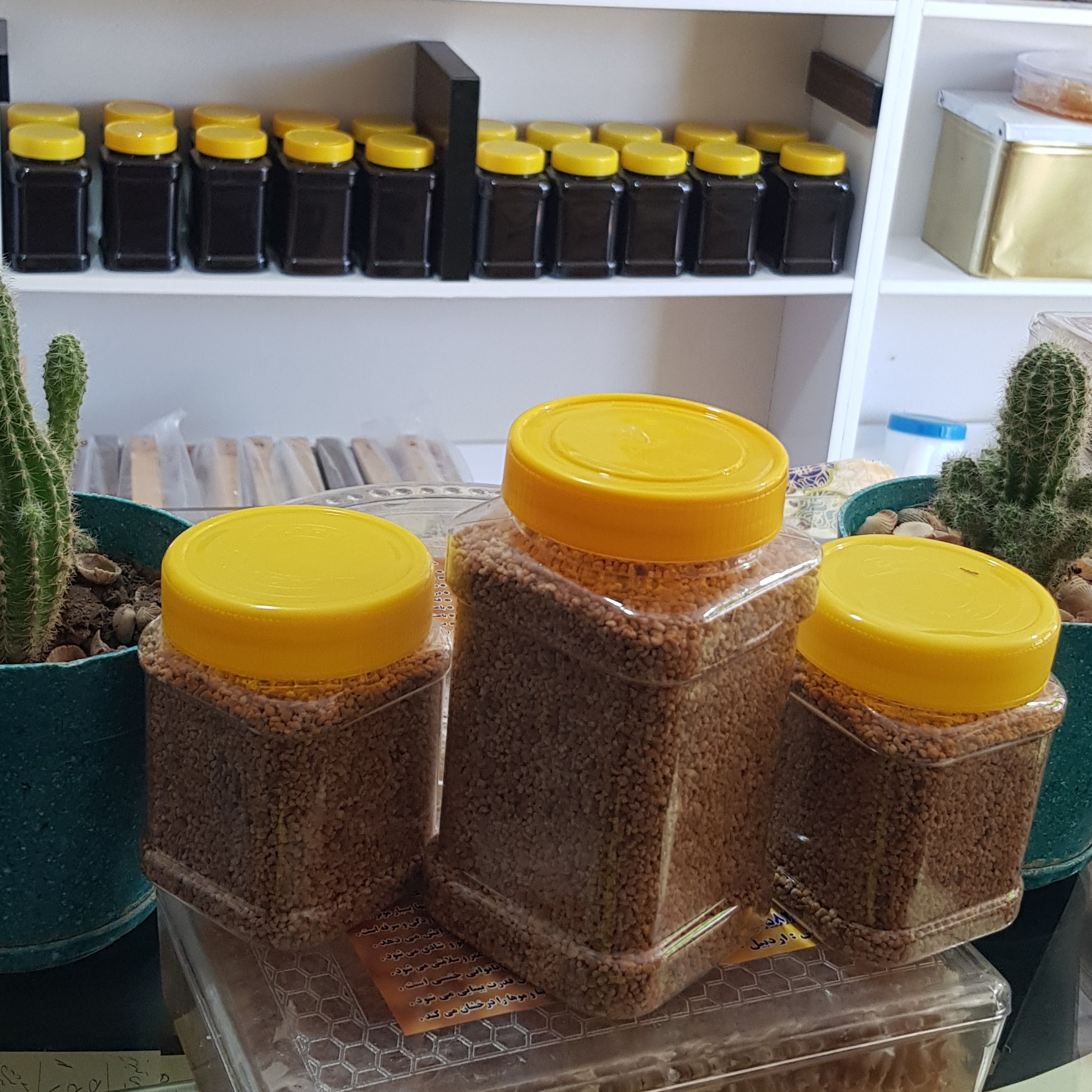 گرده طبیعی گل کوهستات