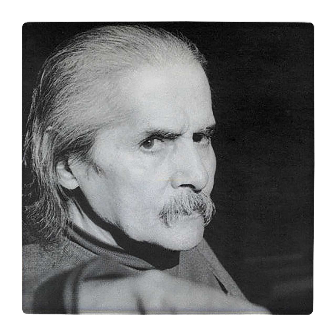 کاشی کارنیلا طرح مهدی اخوان ثالث کد wk270