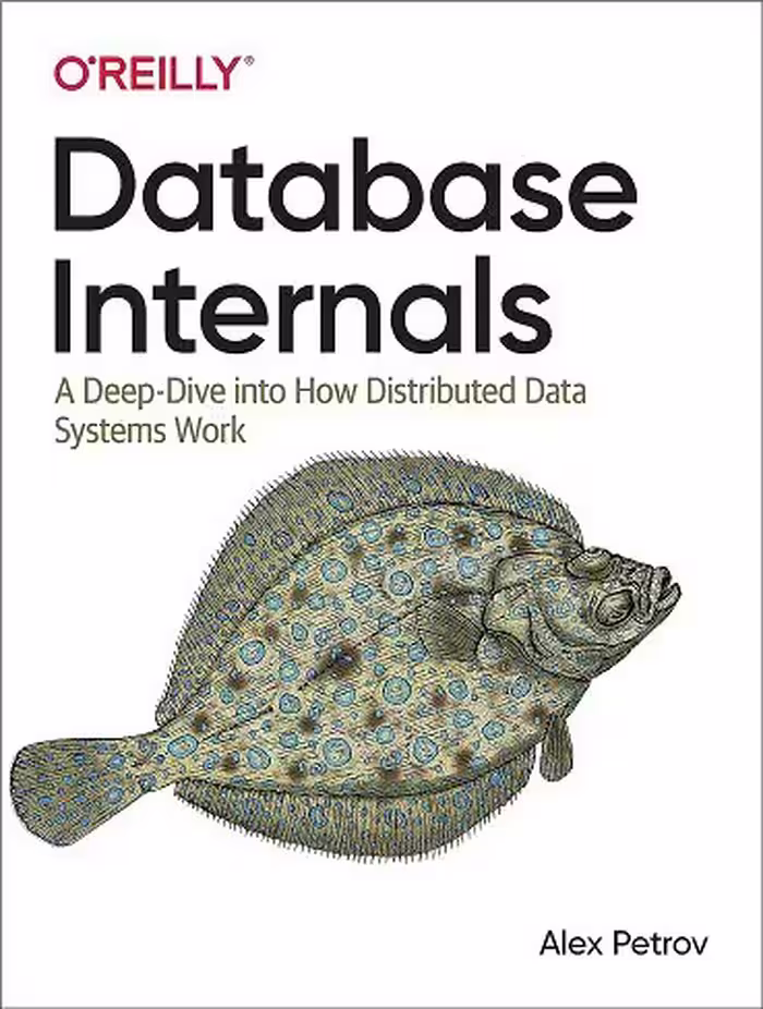 کتاب Database Internals اطلاعات داخلی پایگاه داده (زبان اصلی)