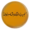 پیکسل طرح شعر نجیب تر از آن باش که برنجانی مدل S1256