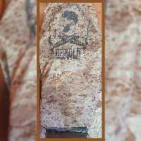 پیشبند آرایشگاهی کشی طرح دار