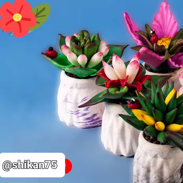 گلِ بِتُتی مدل کاکتوس دارای طرح های مختلف کیفیت عالی