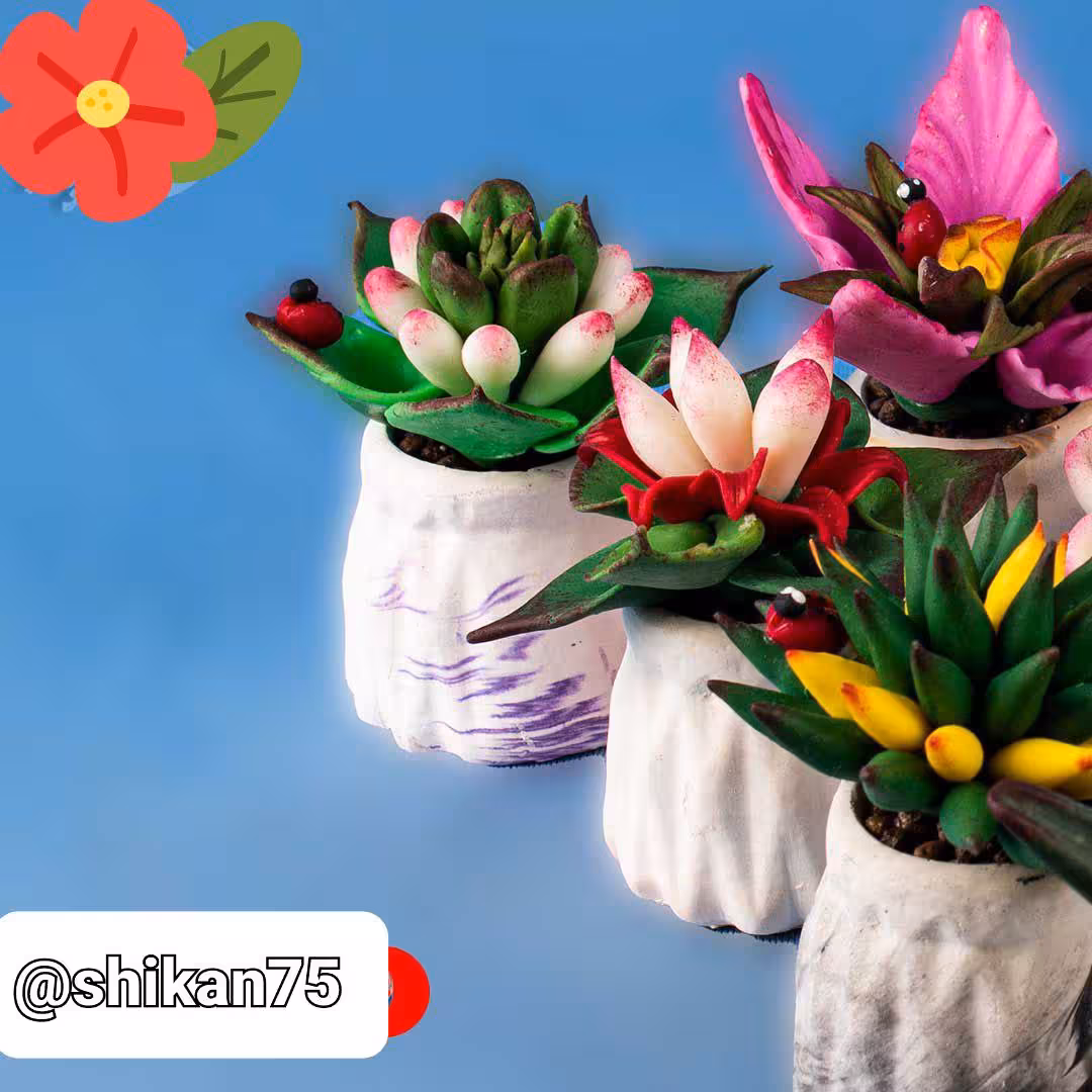 گلِ بِتُتی مدل کاکتوس دارای طرح های مختلف کیفیت عالی