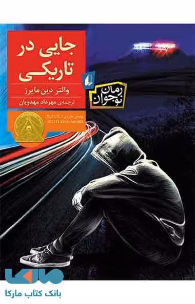 جایی در تاریکی نشر افق