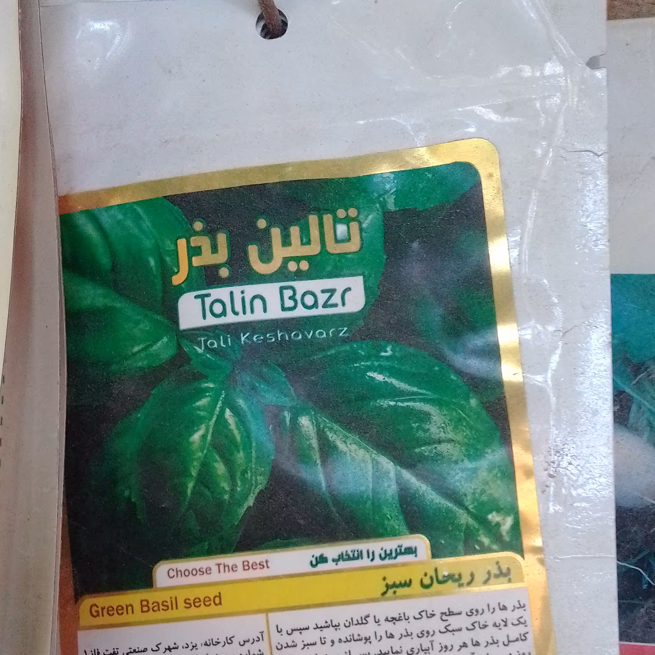 بذر ریحان سبز و خوشعطر