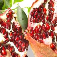 خرید و دانلود عکس Food-Part-15 کد 19093 | پیک فاکس | Pic Fox