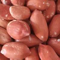 بادام زمینی درشت اعلا استانه محصول 1402 بسیار با کیفیت