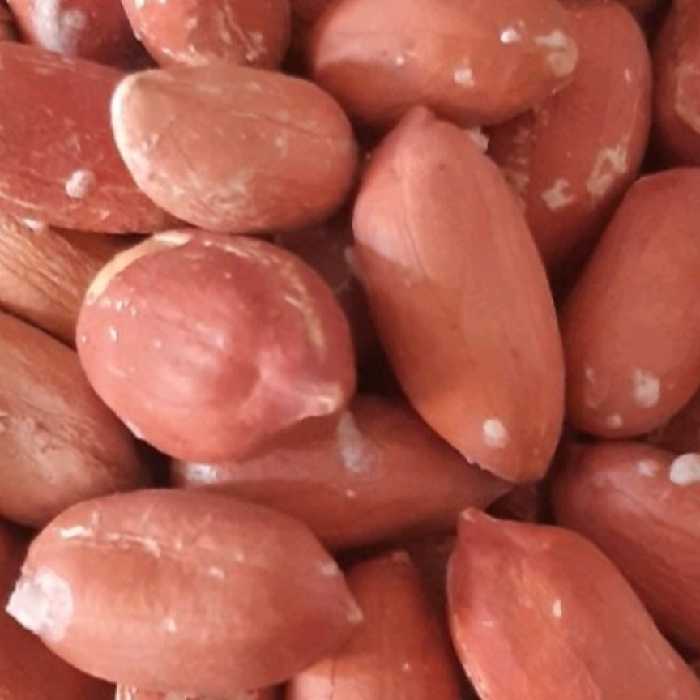 بادام زمینی درشت اعلا استانه محصول 1402 بسیار با کیفیت