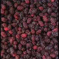 میوه شاتوت منجمد 3 کیلویی (پس کرایه)