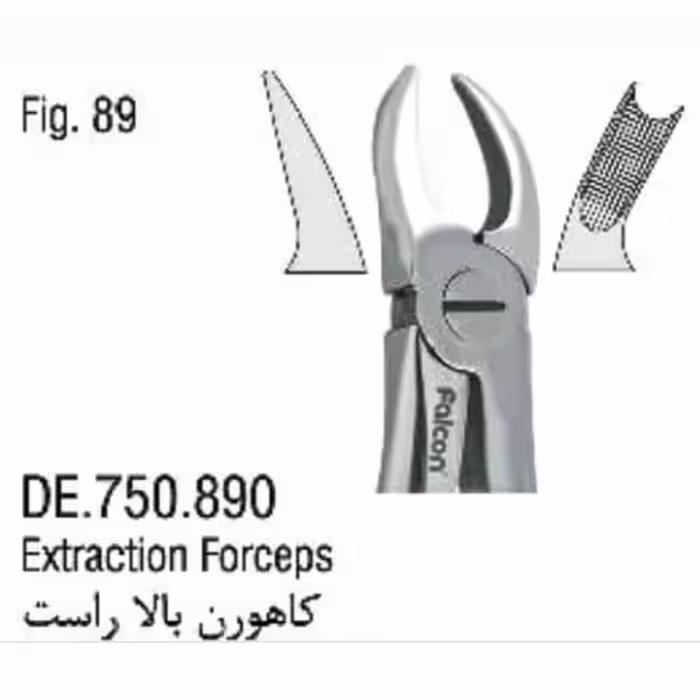 فورسپس کاهورن بالا راست 89 :fig - فروشگاه تخصصی دندانپزشکی سپیرا