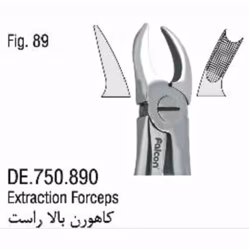 فورسپس کاهورن بالا راست 89 :fig - فروشگاه تخصصی دندانپزشکی سپیرا