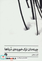 قیمت و خرید کتاب چینه دان ترک خورده درناها | ایده بوک