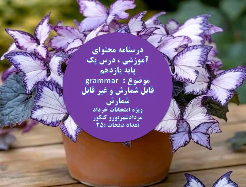 پاورپوینت درسنامه محتوای آموزشی (grammar ) ، درس یک پایه یازدهم،موضوع: قابل شمارش و غیر قابل شمارش