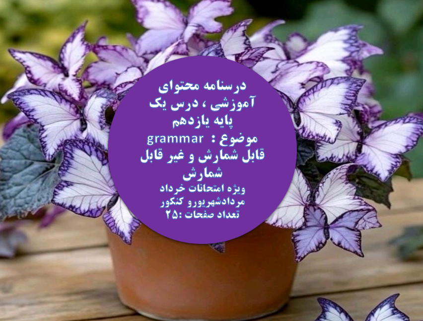 پاورپوینت درسنامه محتوای آموزشی (grammar ) ، درس یک پایه یازدهم،موضوع: قابل شمارش و غیر قابل شمارش