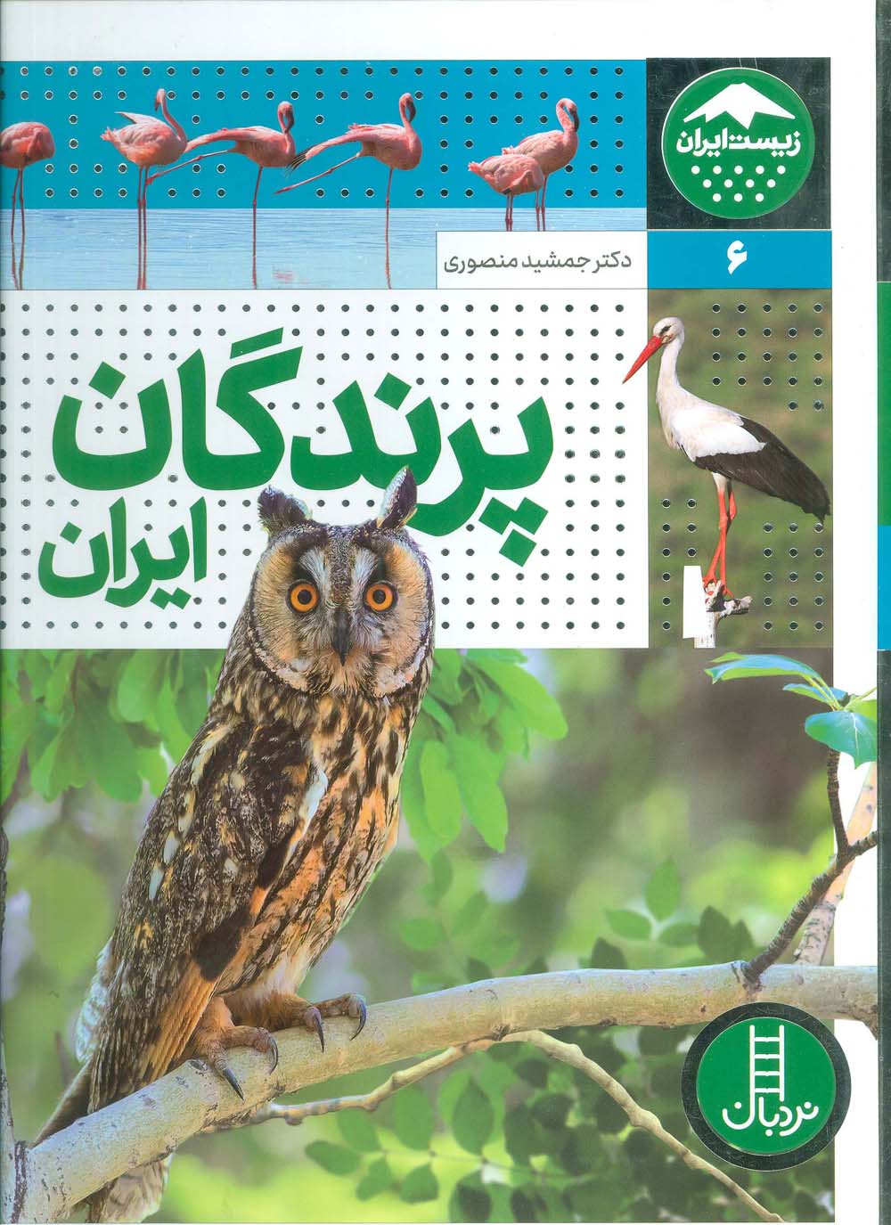 پرندگان ایران (زیست ایران 6)،(گلاسه) - ناشربوک | خرید آنلاین کتاب