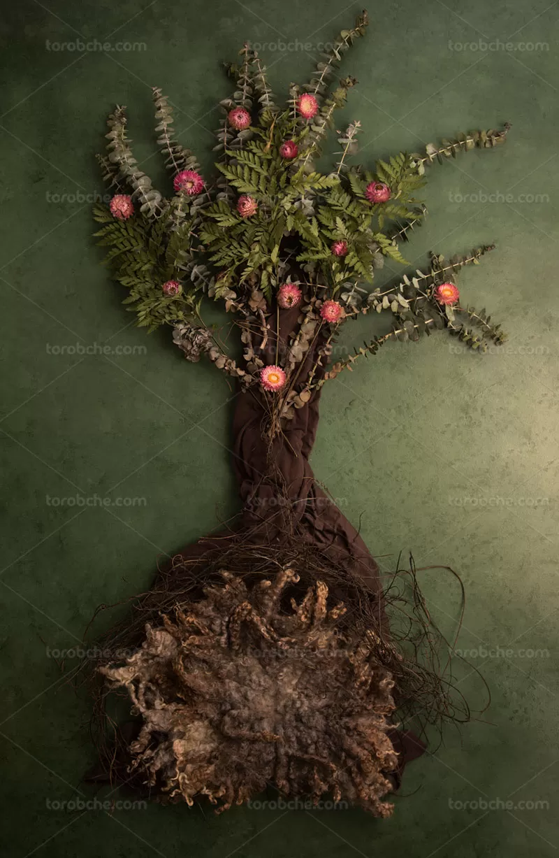 بکگراند عکاسی نوزاد گل | گرافیک با طعم تربچه