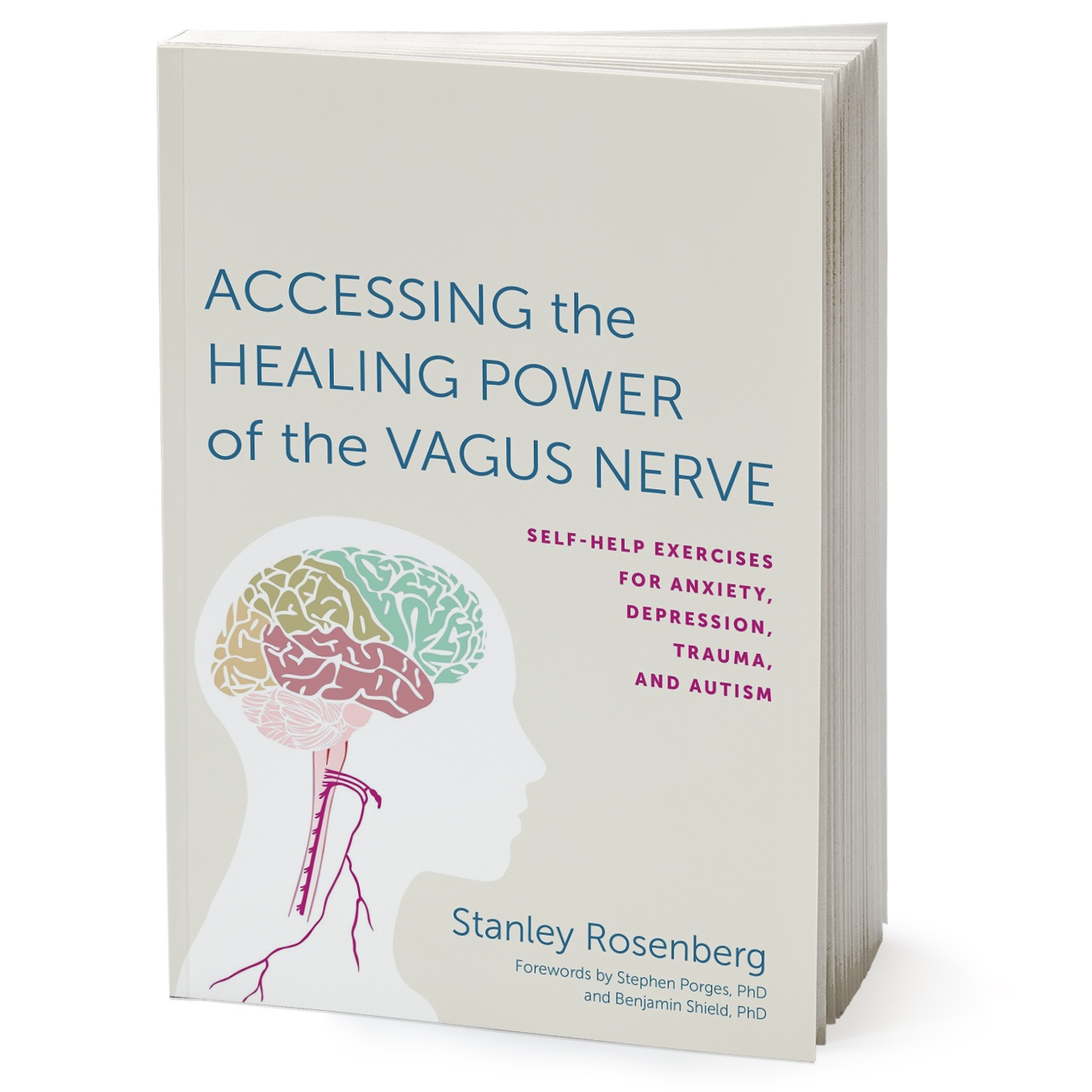 کتاب Accessing the Healing Power of the Vagus Nerve اثر Stanley Rosenberg انتشارات Random House Inc