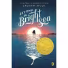 کتاب Beyond the Bright Sea اثر Lauren Wolk انتشارات Puffin Books