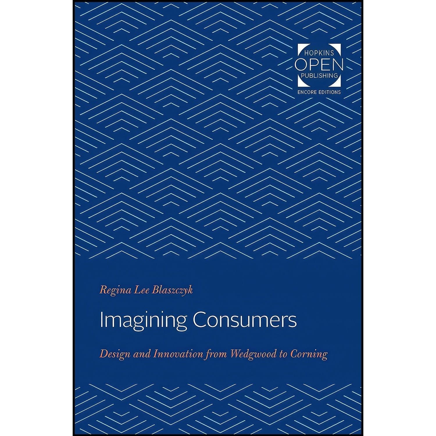 کتاب زبان اصلی Imagining Consumers اثر Regina Lee Blaszczyk
