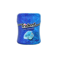 آدامس اکالیپتوس ( بدون شکر )  تریدنت – trident