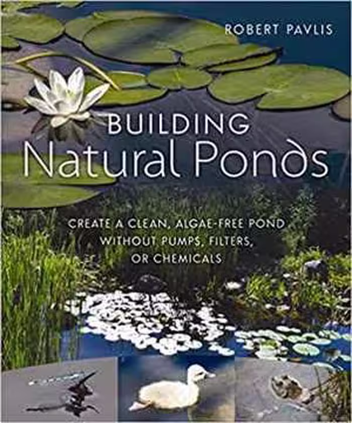 󾕇 دانلود کتاب Building Natural Ponds - Create A Clean, Algae-Free Pond Without Pumps, Filters, Or Chemicals, 2017 - دانلود کتاب های دانشگاهی