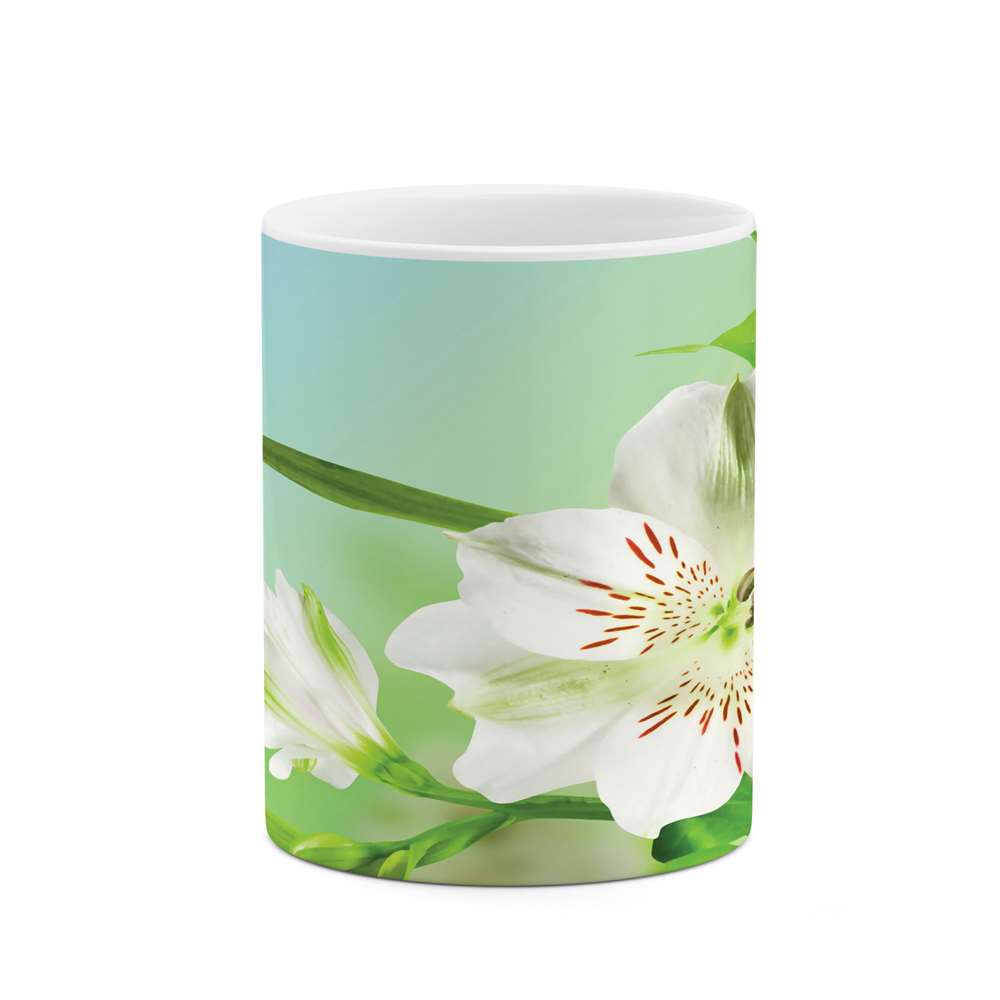 ماگ طرح گل مدل mgs06833