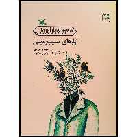 كتاب آوازهاي سيب‌زميني اثر مهدي مرادي انتشارات كانون پرورش فكري كودكان و نوجوانان