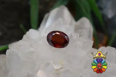 گارنت هسونیت