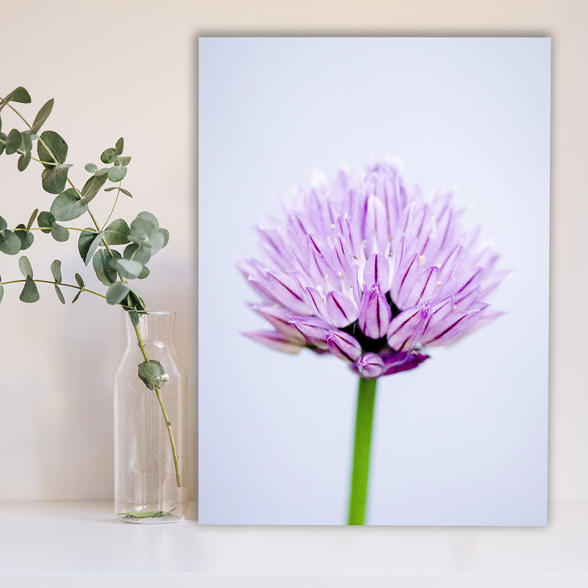 تابلو شاسی گالری استاربوی طرح گل بنفش مدل Amazing 105