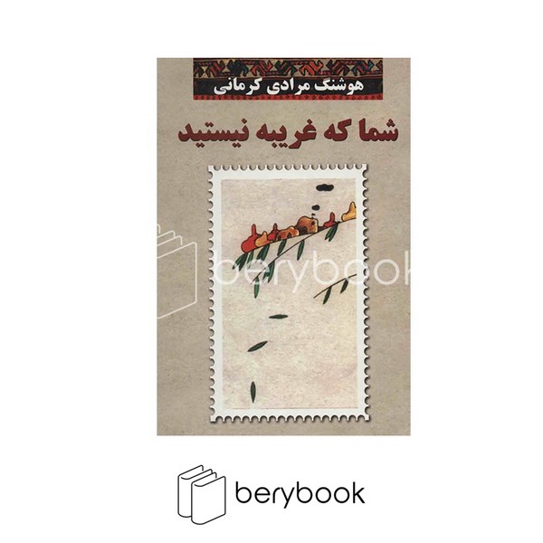 کتاب شما که غریبه نیستید / گالینگور / معین