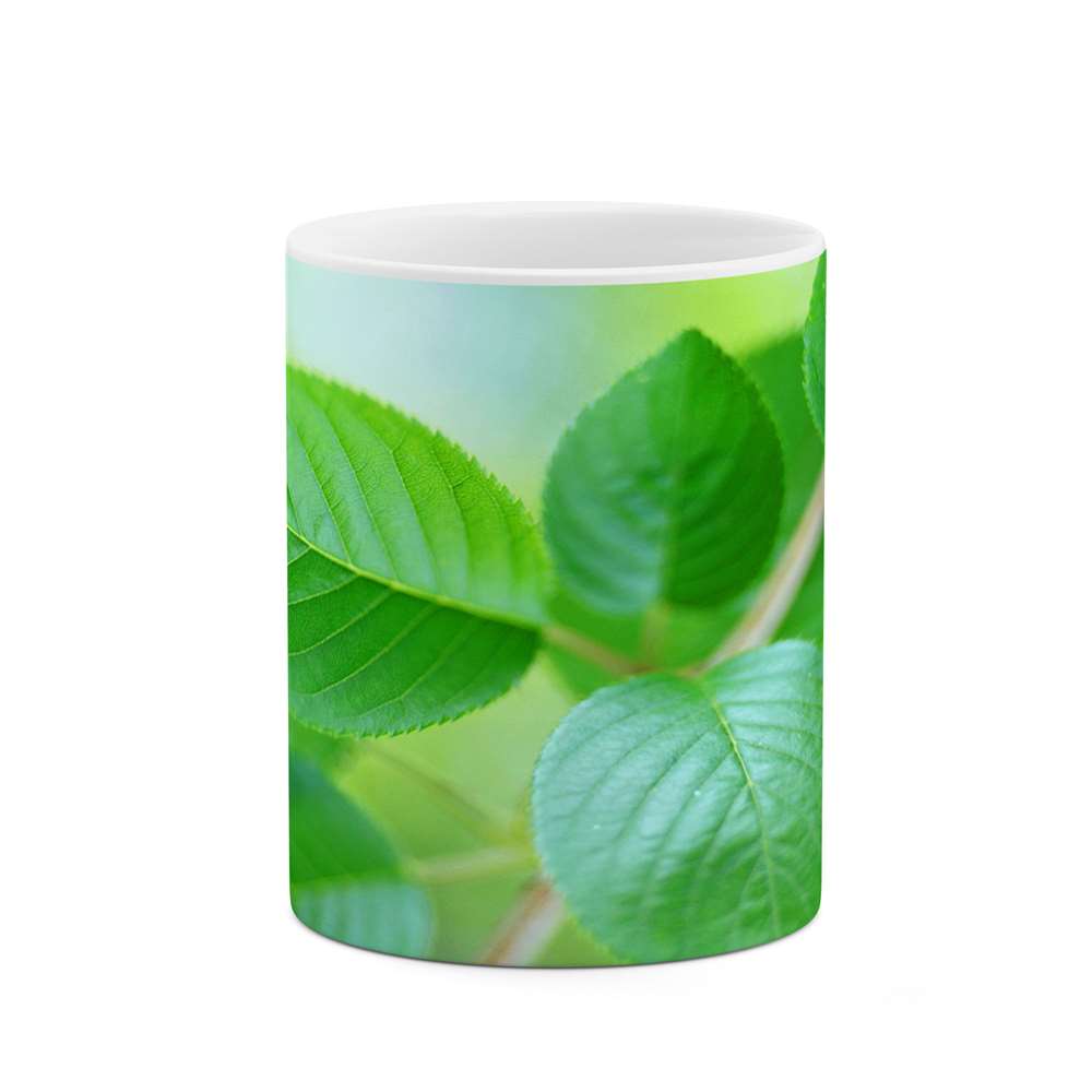 ماگ طرح برگ مدل mgs12203