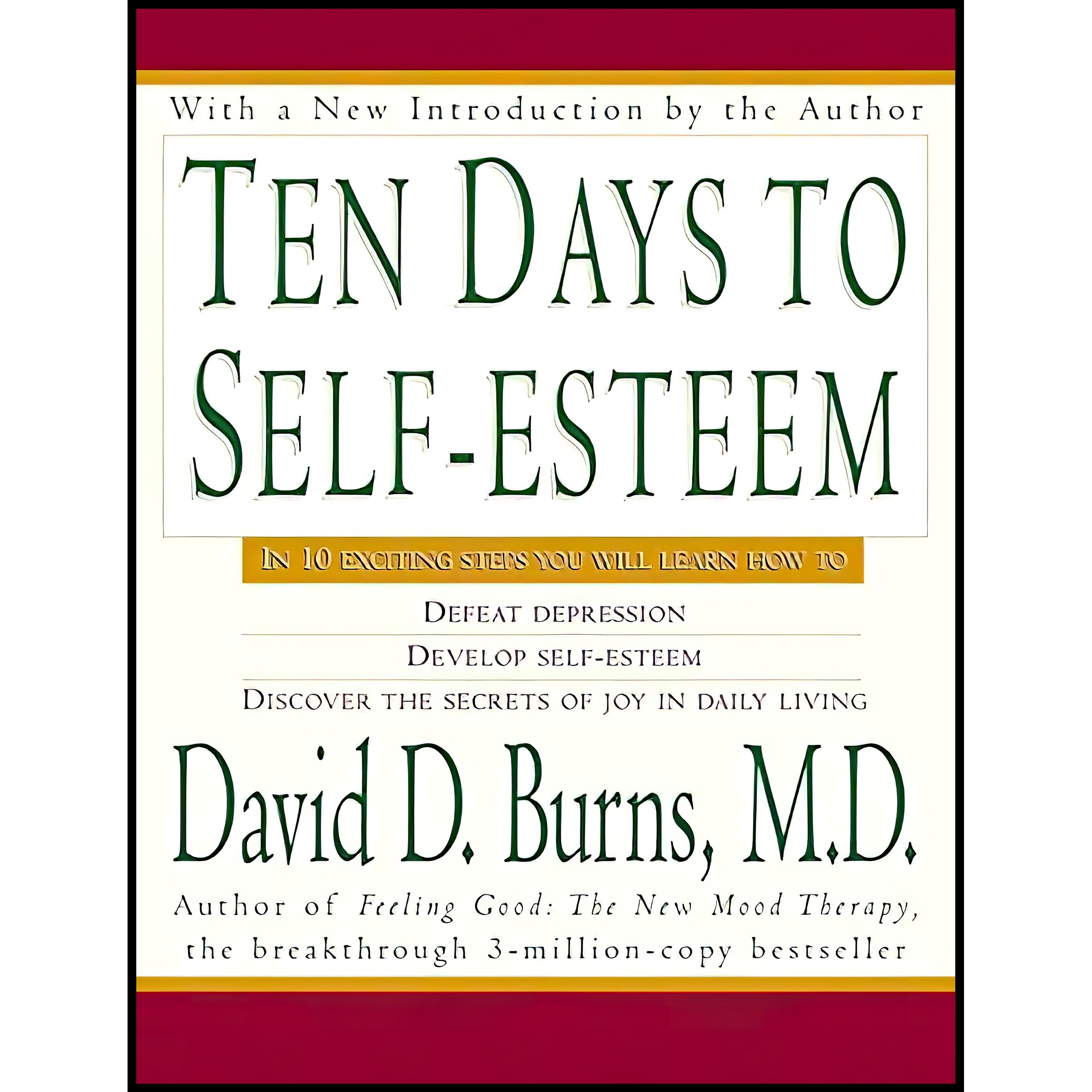 کتاب زبان اصلی Ten Days to SelfEsteem اثر David D Burns انتشارات William Morrow