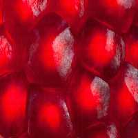 خرید و دانلود عکس Food-Part-15 کد 19100 | پیک فاکس | Pic Fox