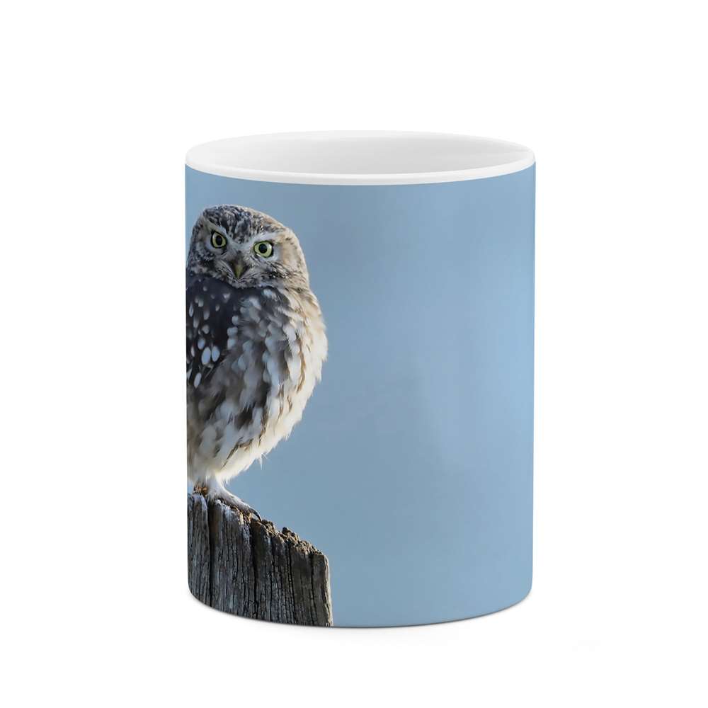 ماگ طرح جغد مدل mgs06144