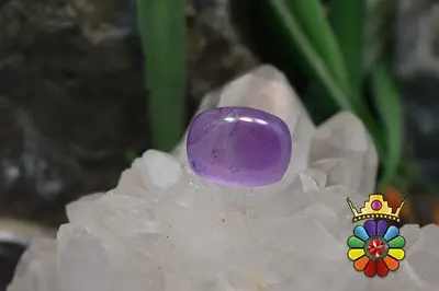 امتیست دامله(کاپوشی)