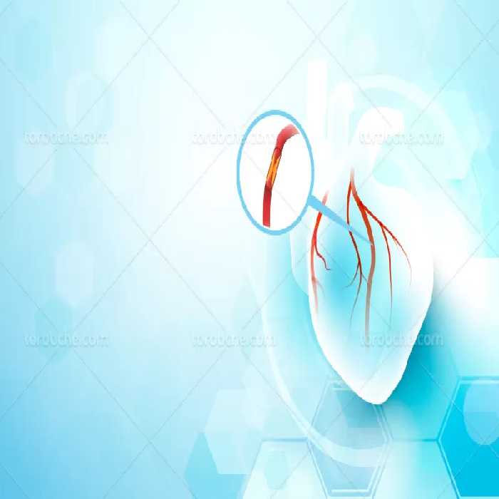 وکتور قلب انسان با کیفیت | گرافیک با طعم تربچه